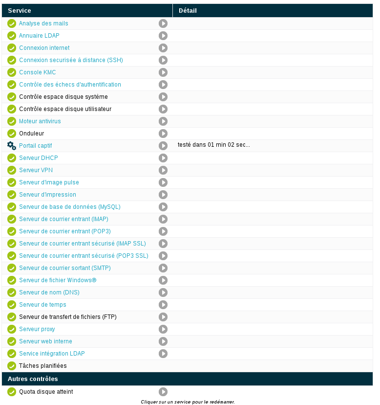 Surv-Services